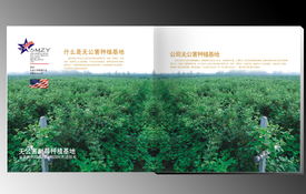 賽尚品牌設計 河南鄭州專業品牌策劃與軟件開發服務